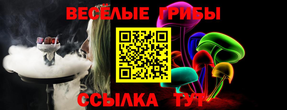 Псилоцибиновые грибы MAGIC MUSHROOMS Малоярославец